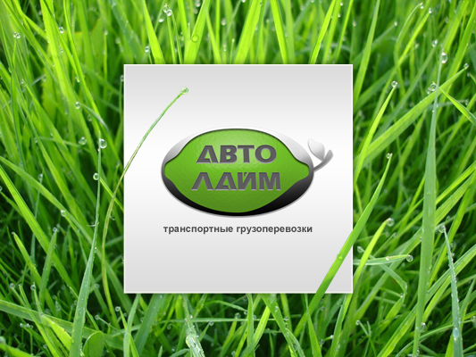 Автолайм, 3 вариант
