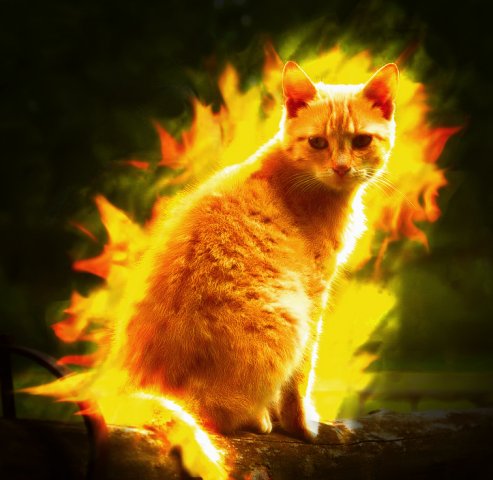 Firecat