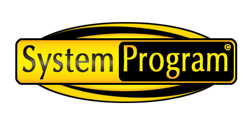 System Program