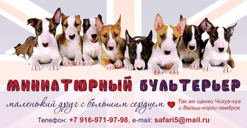 Рекламный макет-наклейка для питомника собак