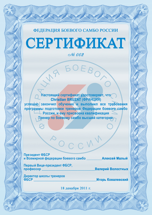 Сертификат_Боевое самбо
