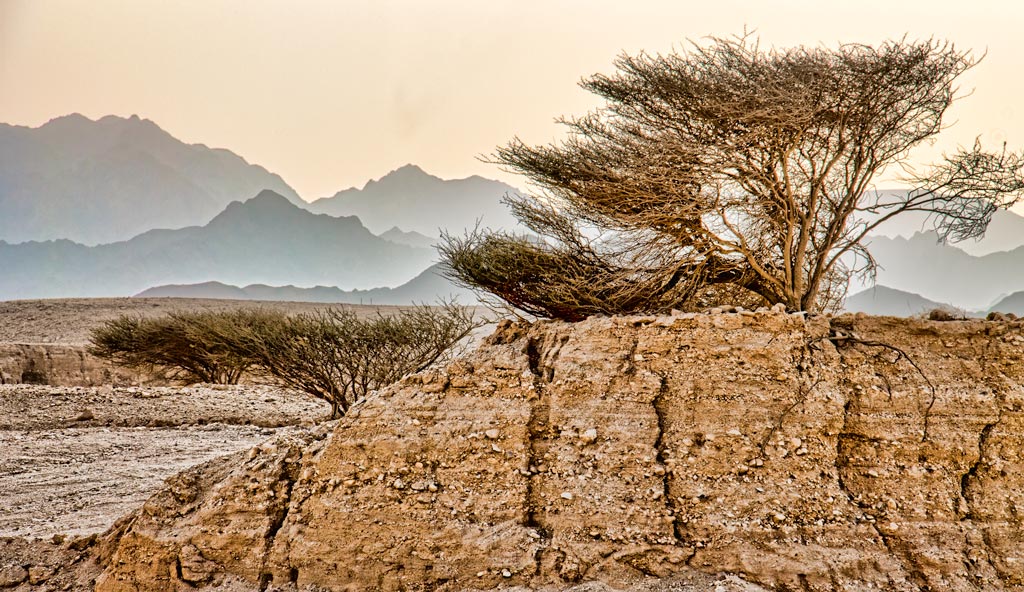 In desert of Araba