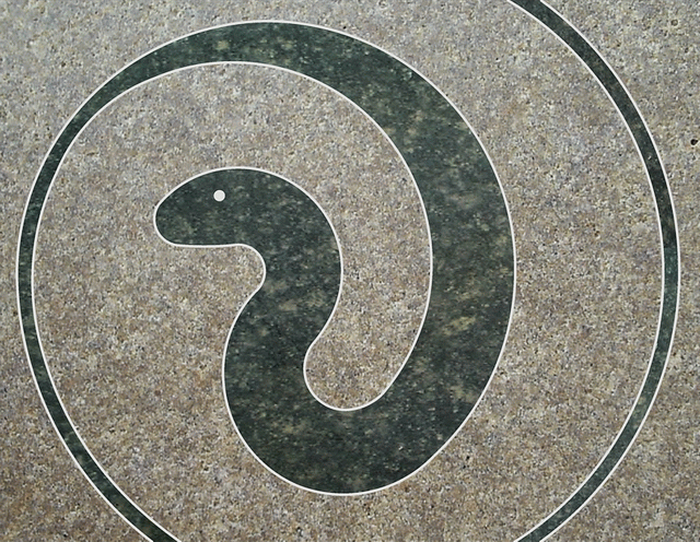 snake