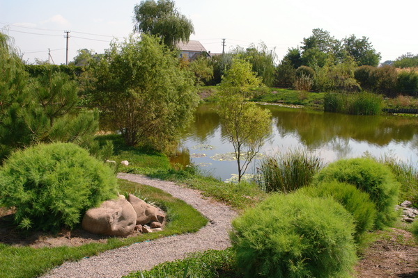 http://www.ivadesign.dp.ua/