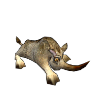 rhino-run
