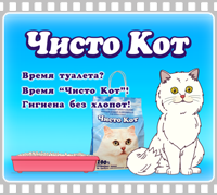 «Чисто кот»