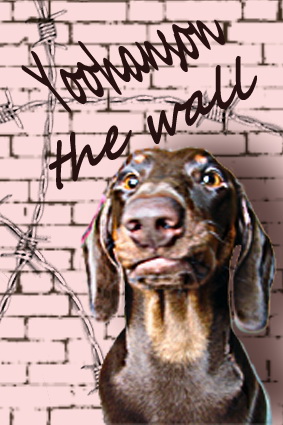 the wall