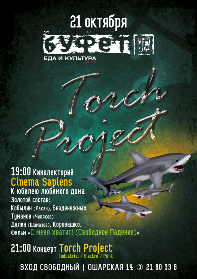 Torch project poster