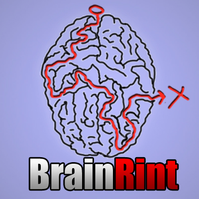 Лабиринт &quot;BrainRint&quot;