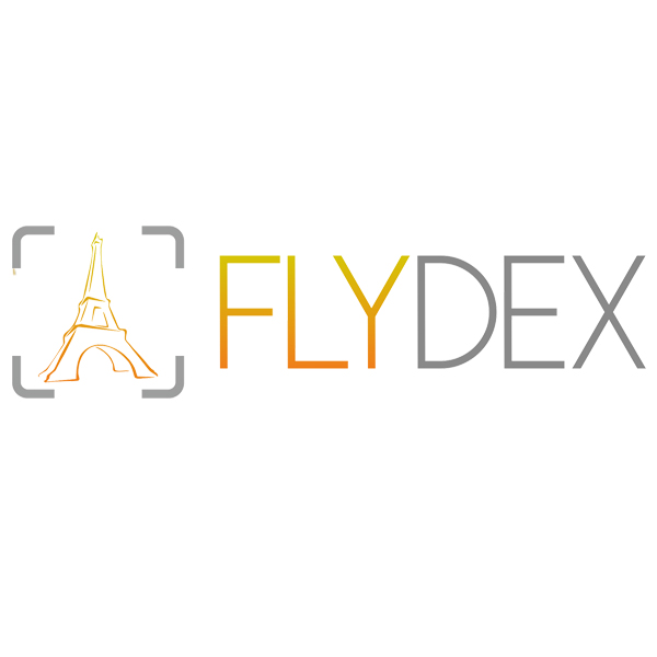 fly