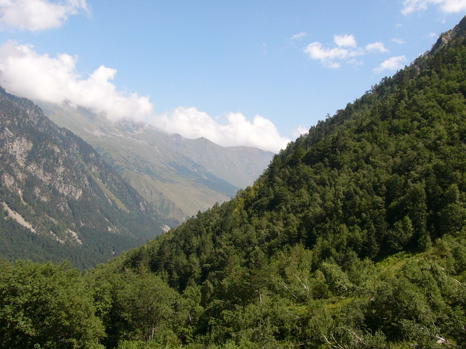 Цейское ущелье, Северная Осетия