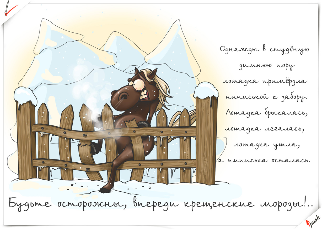 Лошадка в крещенские морозы + стишок (шалость))))