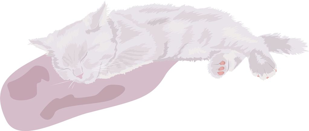 Котёнок