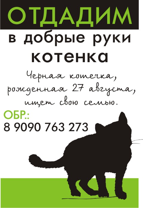 Объявление про котика