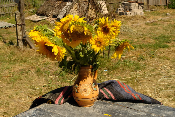http://www.ivadesign.dp.ua/