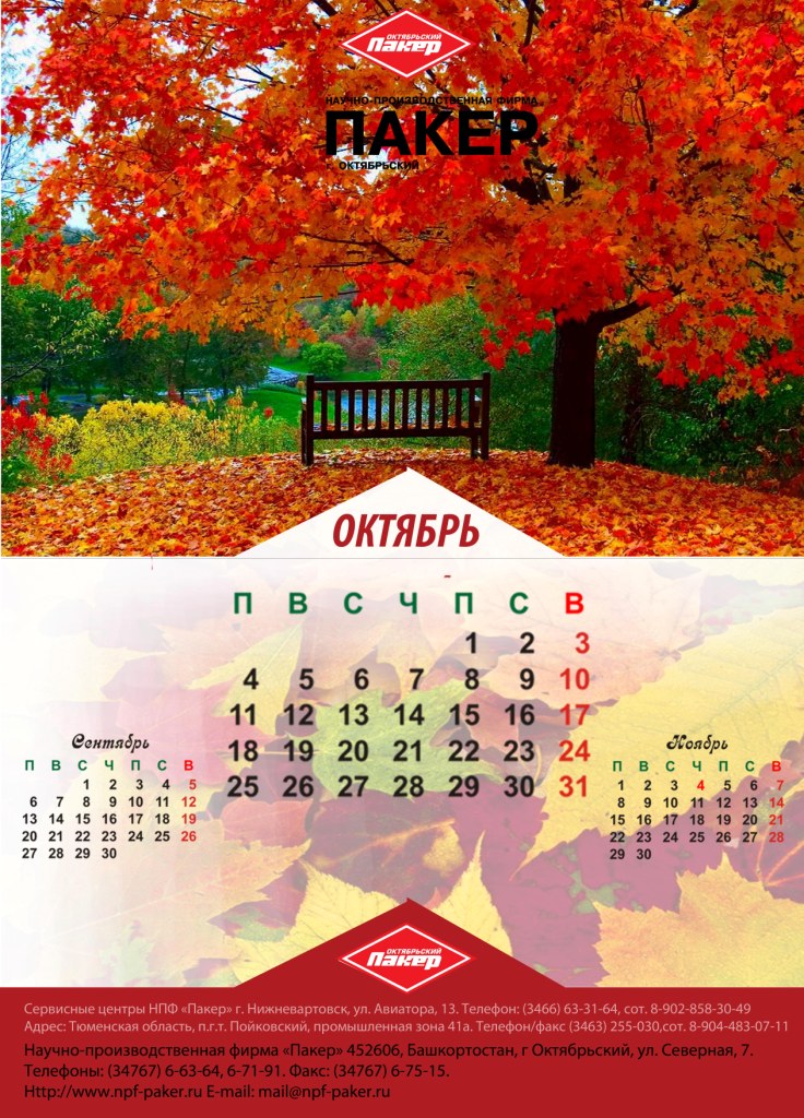 эскиз