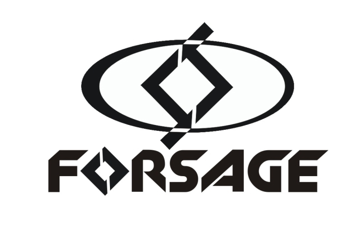Логотип автокомпании Форсаж