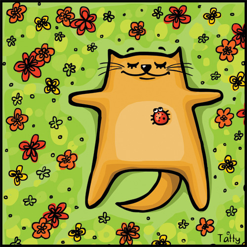 Кот и лето