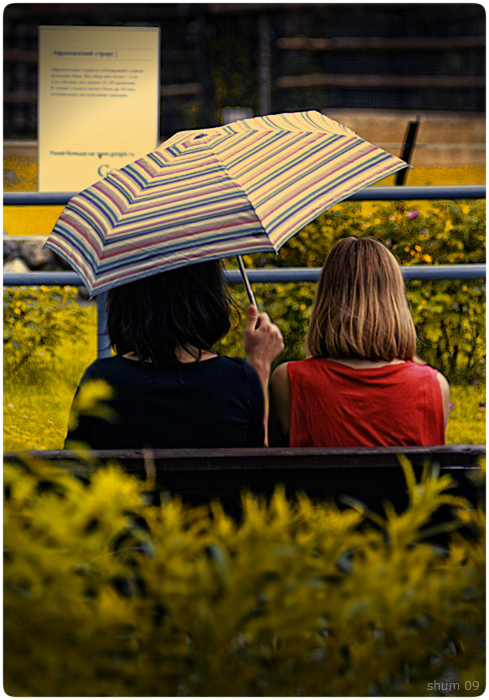 umbrella