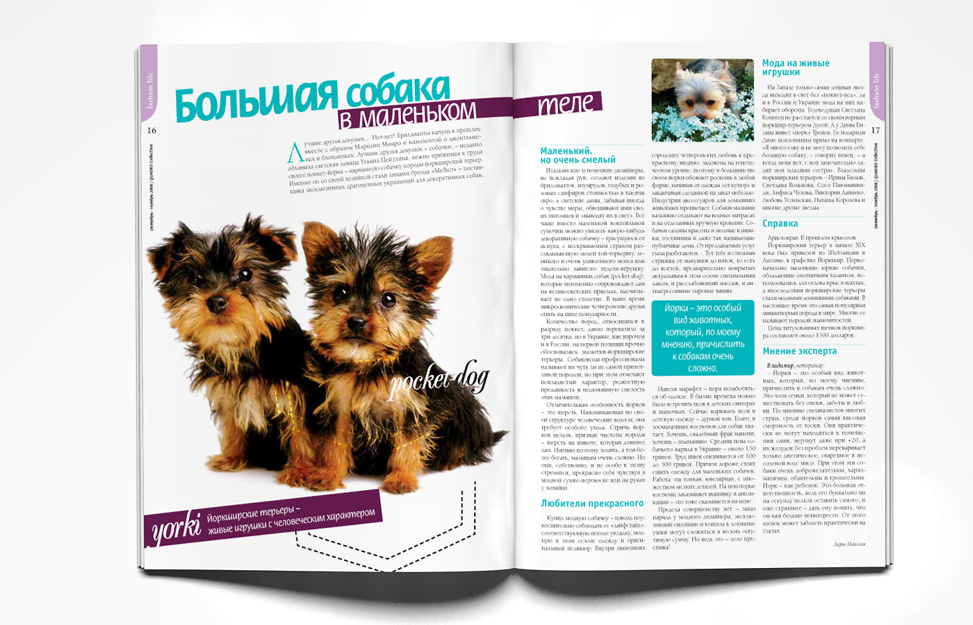 Yorki