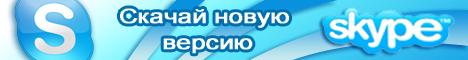 Банер скайп 2