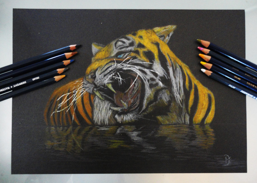 Тигр, акварельные карандаши