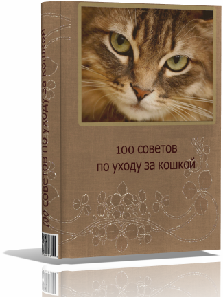 3D обложка толстой книги