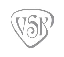 Логотип VSK