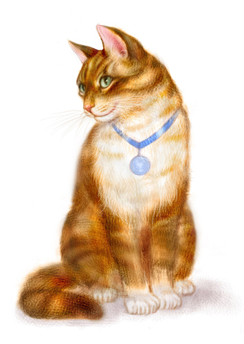 кошка с медальоном