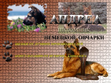андреа