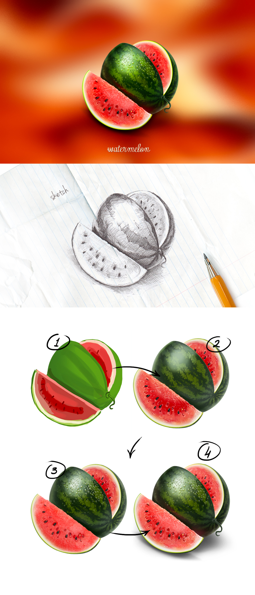 Watermelon_sketch