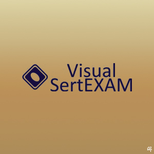 visual SE