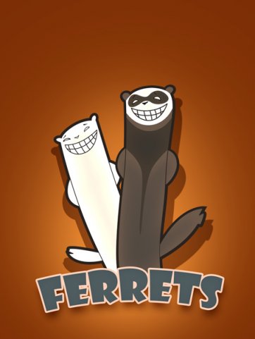 Ferrets