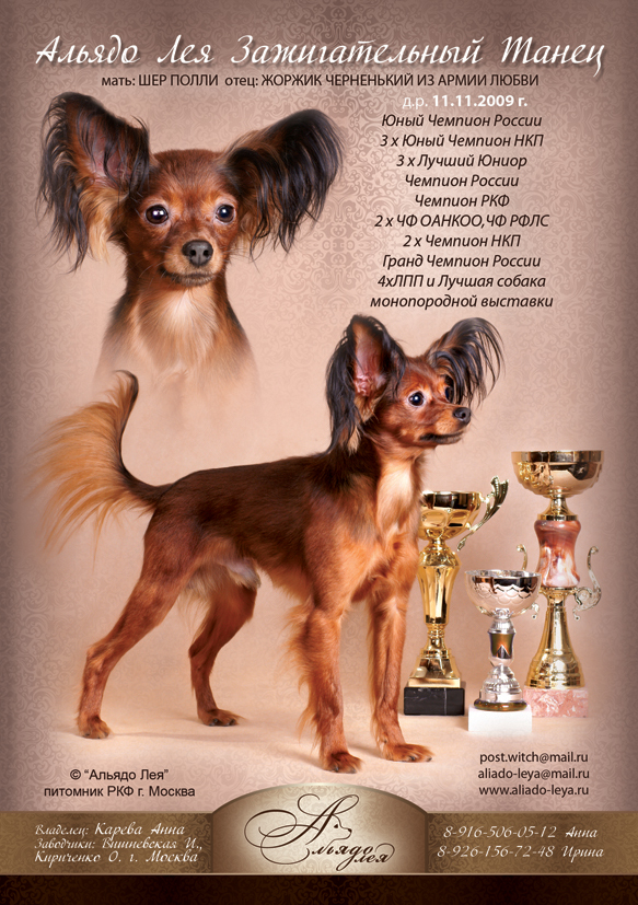 Рекламная страница для собаки в книгу о породе