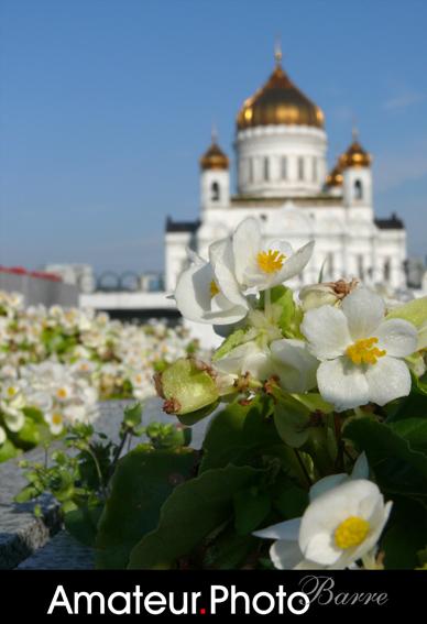 Flower religion