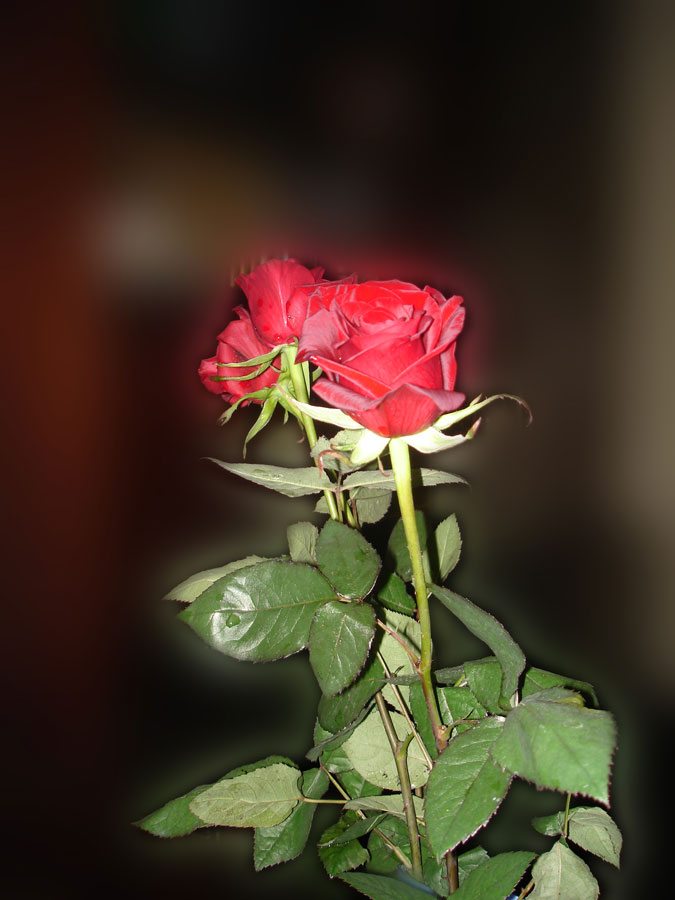 Фото