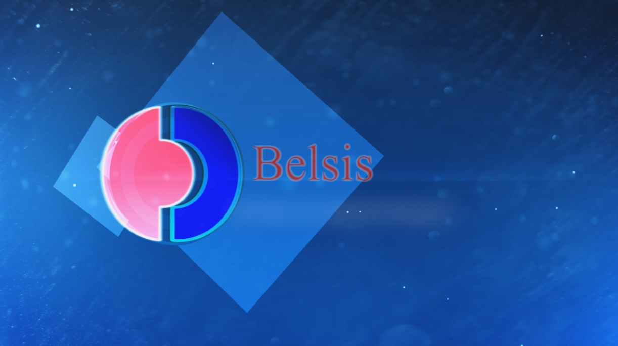 BELSIS