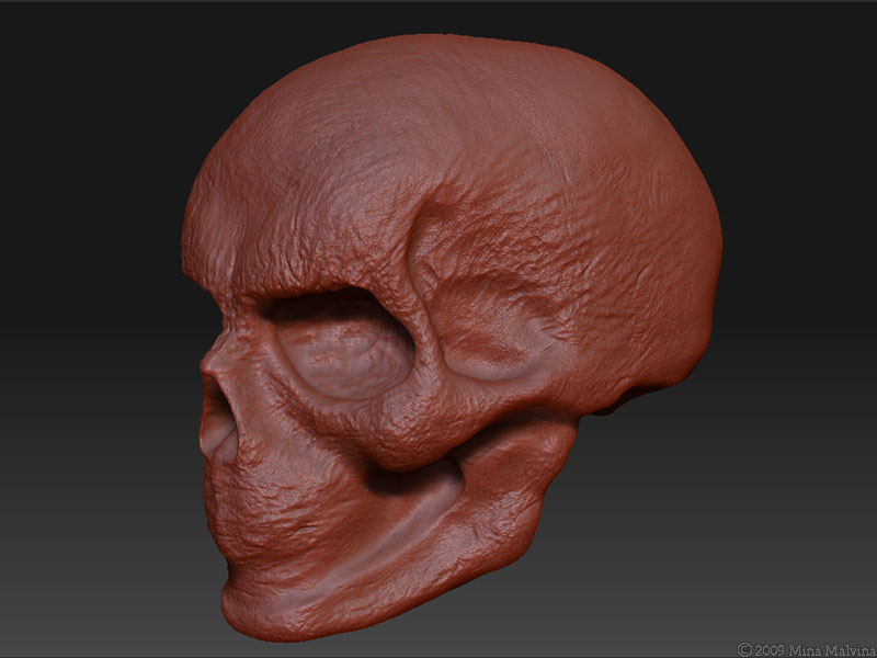 Skull 1