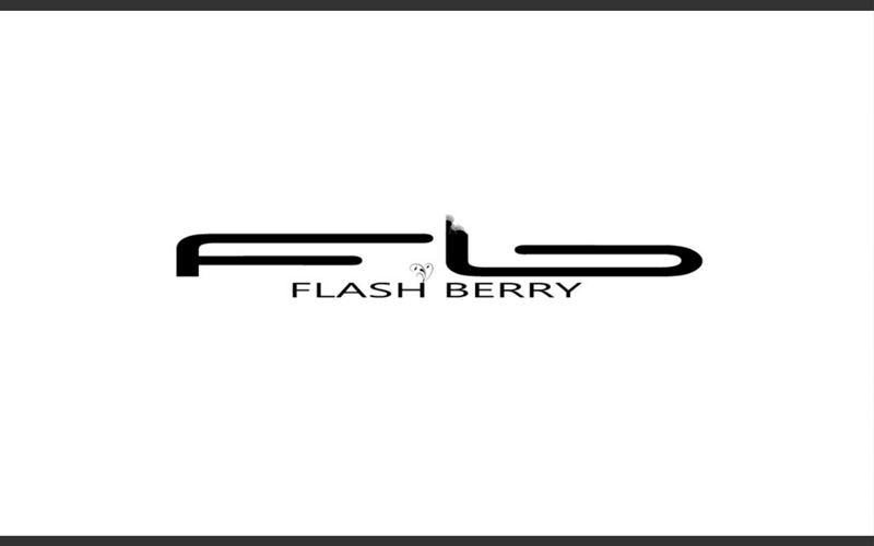 Логотип компании Flash Berry