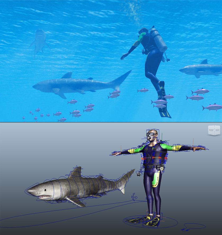 Diver&amp;Shark