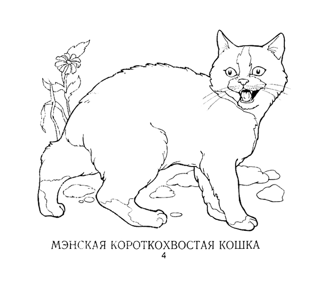 Раскраска &quot;Кошки&quot;