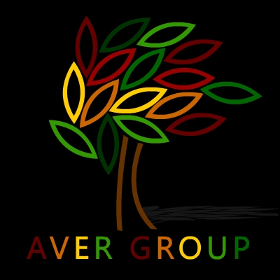 Aver Group 3