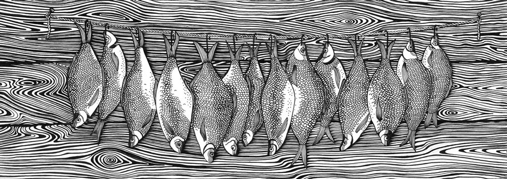 Рыбы (иллюстрация в журнал)
