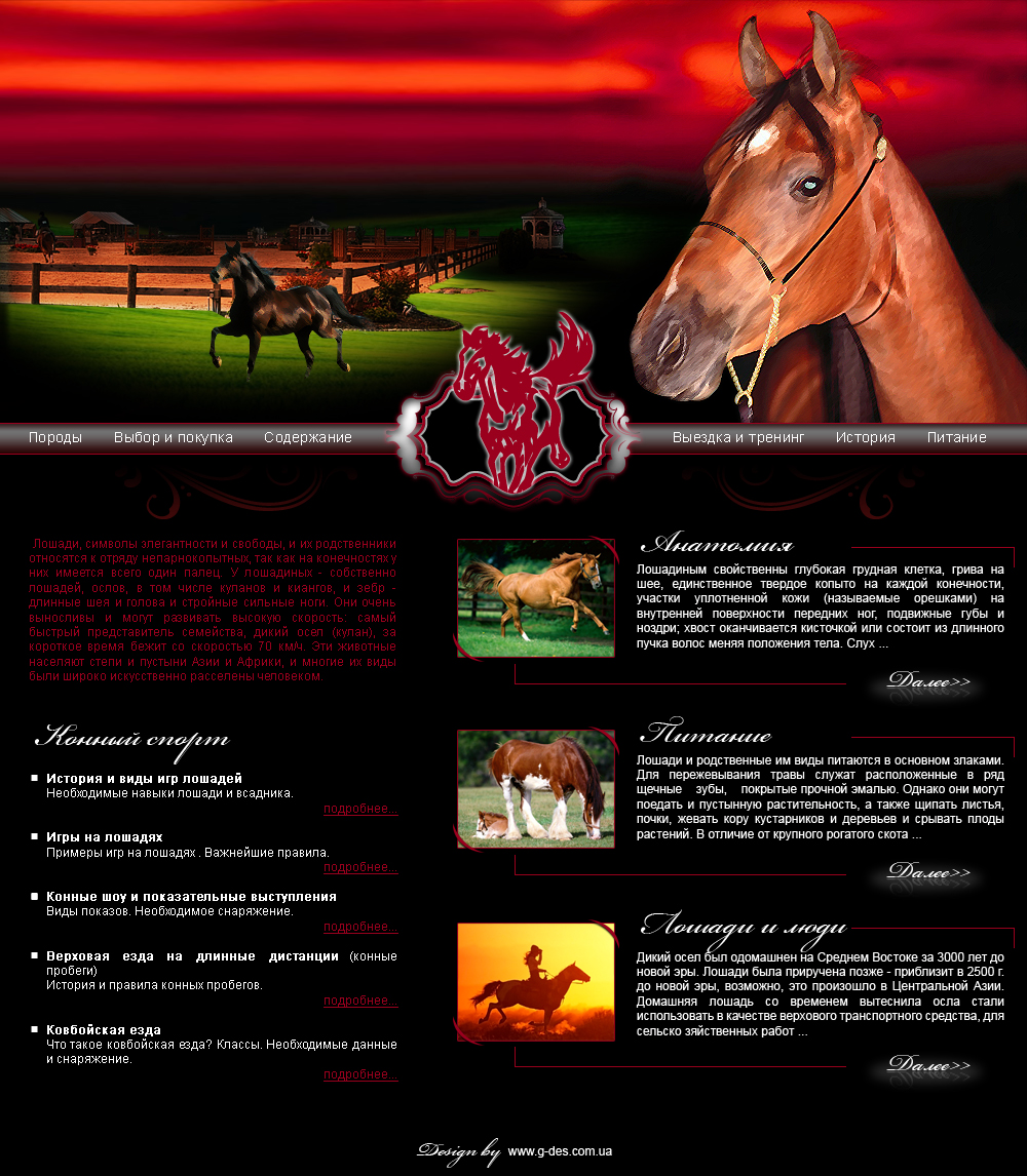 Horse