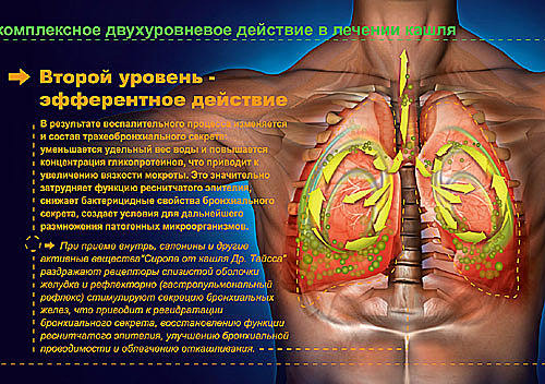 Рекламный проспект