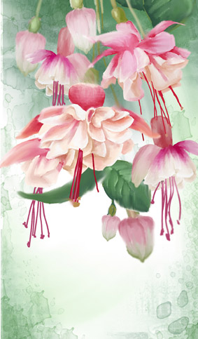 открытка цветы