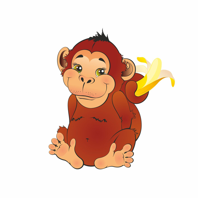 Monkey_1