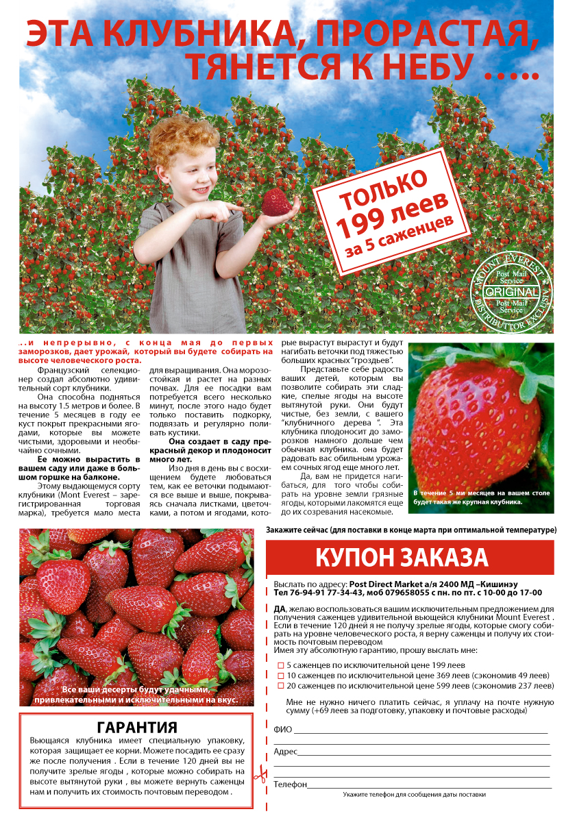 листовка2