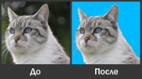 Уменьшенная копия
