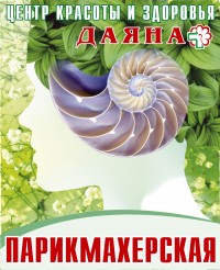 Уменьшенная копия